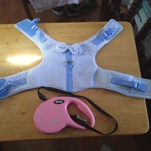 Harness and retractable leash for small dog.